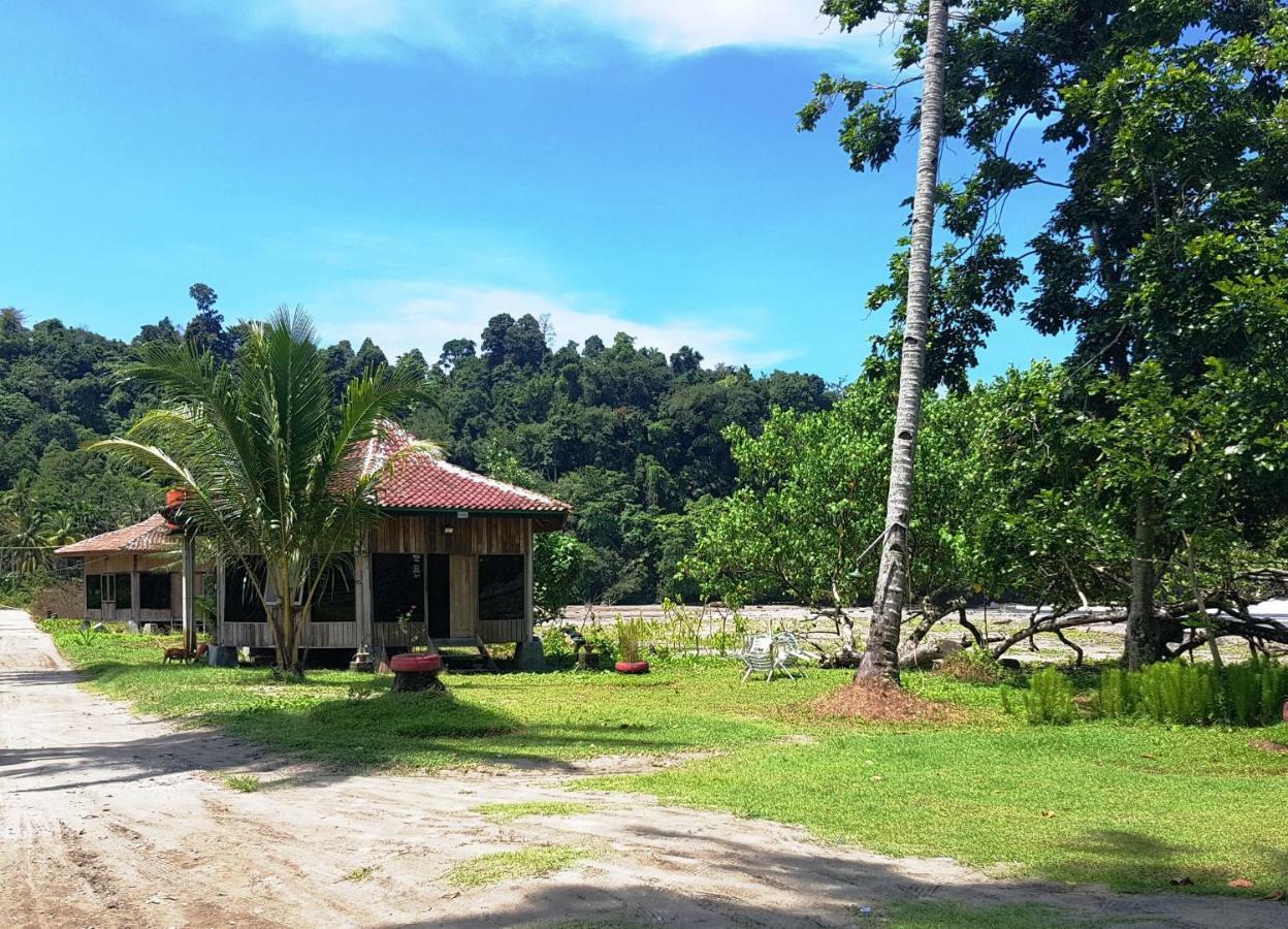 Revive Lampung Krui King Resort Dış mekan fotoğraf