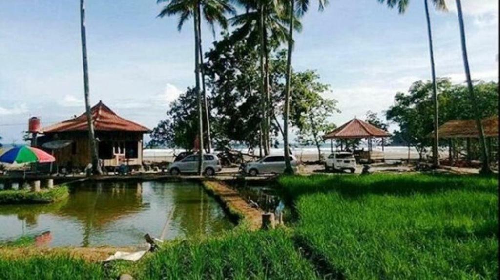 Revive Lampung Krui King Resort Dış mekan fotoğraf
